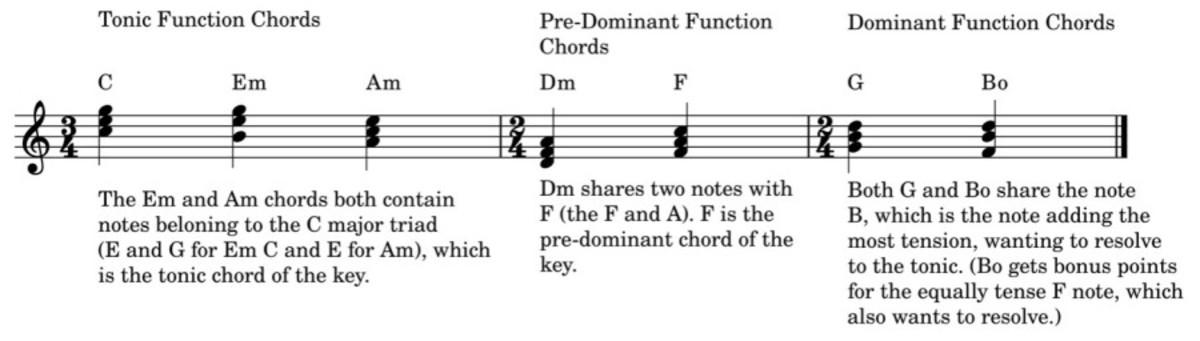 Harmonic Function